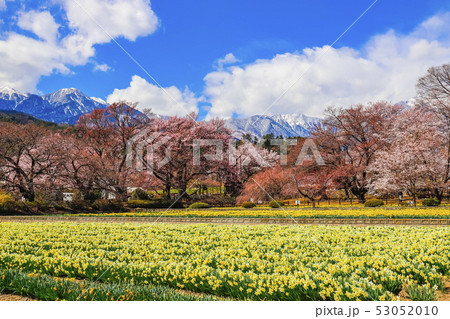 【山梨県】春の実相寺と南アルプス 53052010