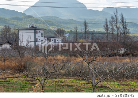 中国 チャイナ 磁器 53080845