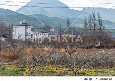 中国 チャイナ 磁器 53080848