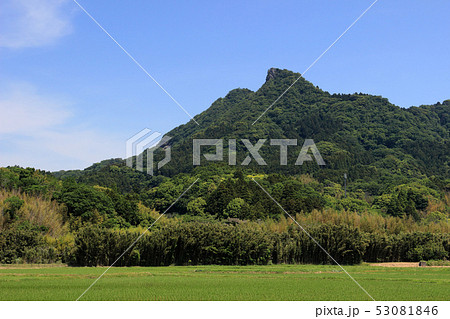 伊予ヶ岳（南房総市） 53081846