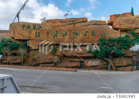 中国 チャイナ 磁器 53081995