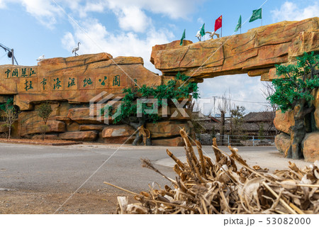 中国 チャイナ 磁器 53082000