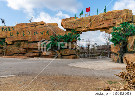 中国 チャイナ 磁器 53082003