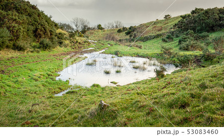 A large puddle of rainwater in a pasture A large puddle of rainwater in a pasture 53083460
