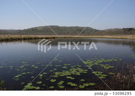 フレシマ湿原4 フレシマ湿原4 53096295