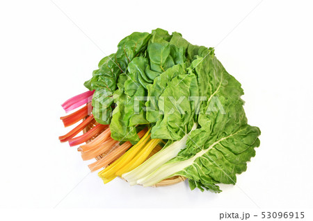 カラフルなスイスチャード 53096915