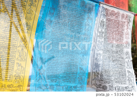 中国 チャイナ 磁器 53102024