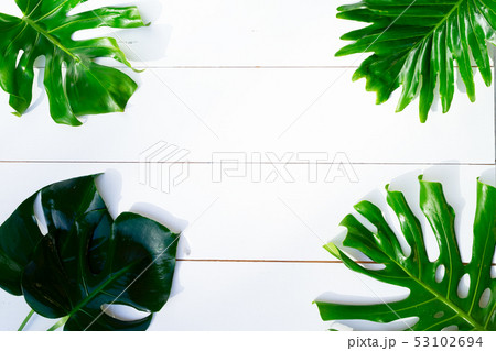 Summer flat lay scenery on white boards Summer flat lay scenery on white boards 53102694