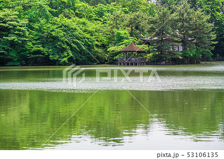 東京　春の石神井公園（三宝寺池） 53106135