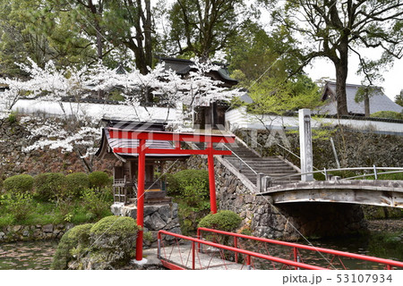 【中国三十三観音霊場】第四番　木山寺弁天社とソメイヨシノ　岡山県真庭市 53107934
