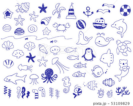 マリン 海の生き物モチーフの手描きボールペン画イラストセットのイラスト素材 53109829 Pixta