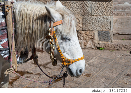 古い 太古 古代 53117235