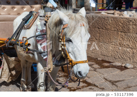 横町 路地 レーン 53117396