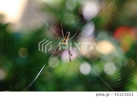 分枝 枝 支店 53121022