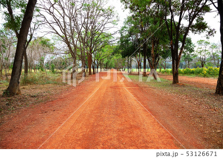 Rural red way to sparse tropical forest. 53126671