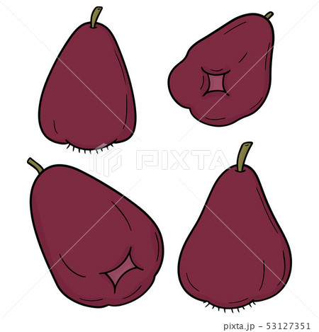 vector set of rose apple 53127351