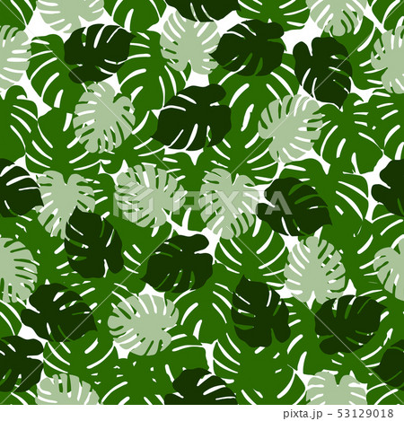 Tropical seamless pattern Monstera leaves. 53129018