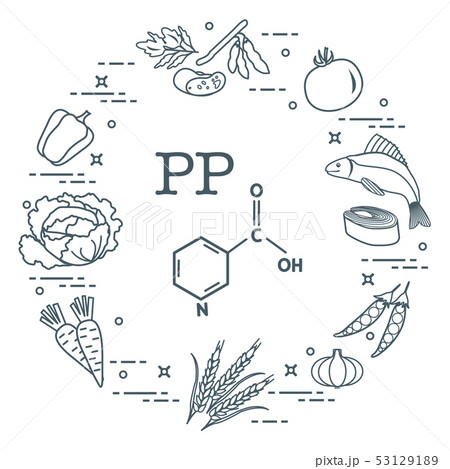 Foods rich in vitamin PP Foods rich in vitamin PP 53129189