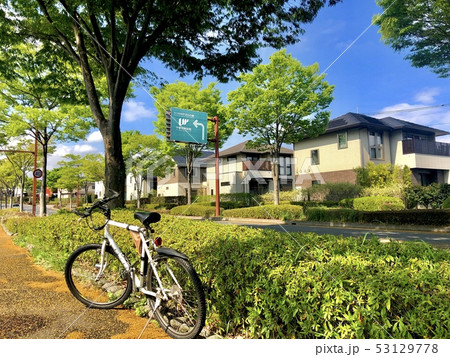 宇都宮 自転車 樹木 サイクリング 53129778