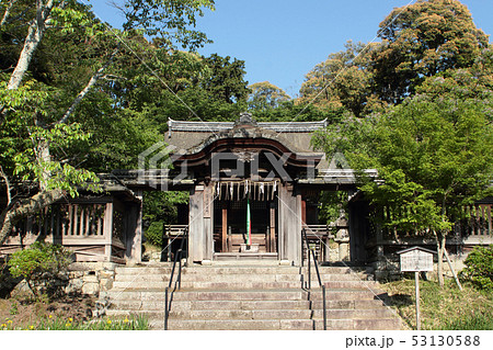 滋賀 三井寺 護法社 唐門 滋賀 三井寺 護法社 唐門 53130588