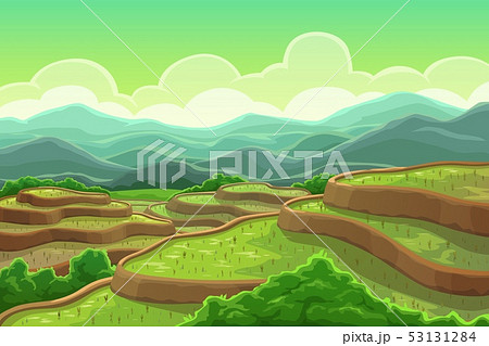 Rice fields plantation, mountain cascade landscape Rice fields plantation, mountain cascade landscape 53131284