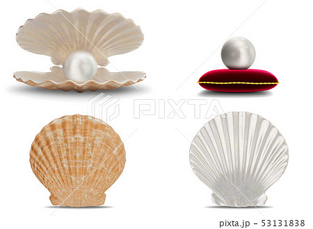Set of sea shell with pearl inside. Collection gems, women's jewelry, nacre beads. Pearl on red 53131838