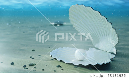 Mother of pearls underwater. Sea shell underwater. Beautiful pearls, expensive jewelry. Oysters and 53131926