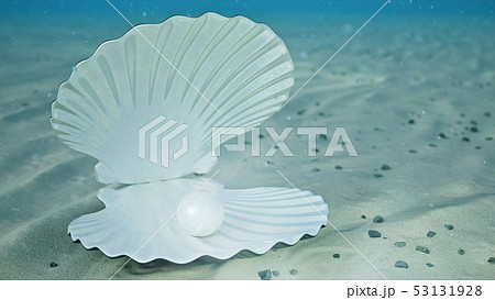 Mother of pearls underwater. Sea shell underwater. Beautiful pearls, expensive jewelry. Oysters and 53131928