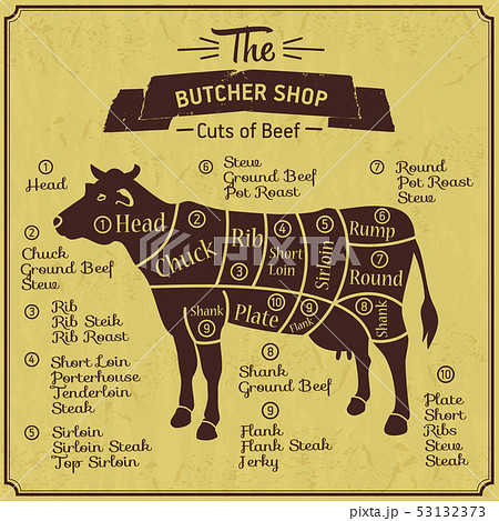 Butcher shop illustration of cow. Farm vintage 53132373