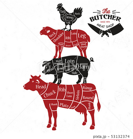 Meat cuts. Diagrams for butcher shop. Animal 53132374