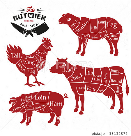 Meat cuts. Diagrams for butcher shop. Animal 53132375