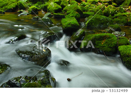 山乗渓谷・不動滝 53132499