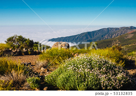 El teide volcano in the canary islands with a blue 53132835