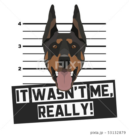 Mugshot mug shot Doberman Mugshot mug shot Doberman 53132879