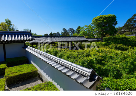 東福寺本坊庭園 方丈と八相の庭 西庭 東福寺本坊庭園 方丈と八相の庭 西庭 53134620