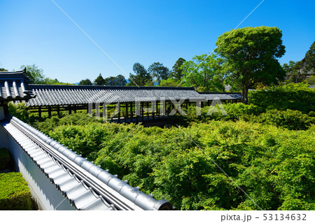 東福寺本坊庭園　方丈と八相の庭　西庭 53134632