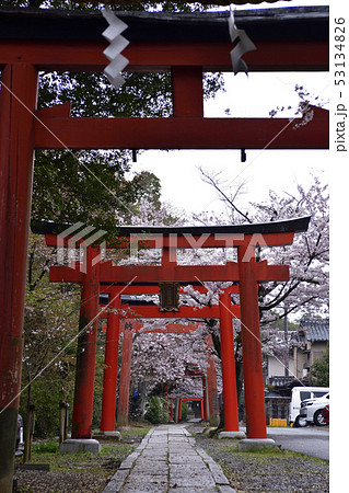 吉田神社　末社　竹中稲荷社 53134826