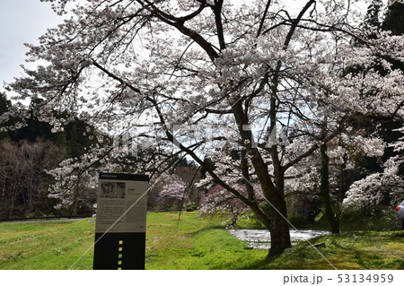 中尊寺 中尊寺 53134959
