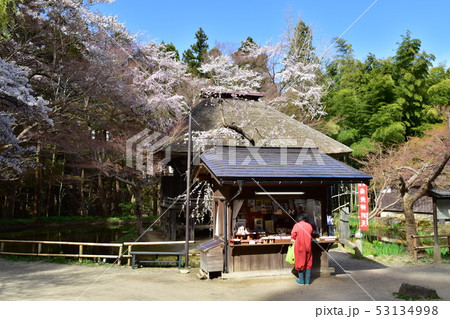 中尊寺 中尊寺 53134998