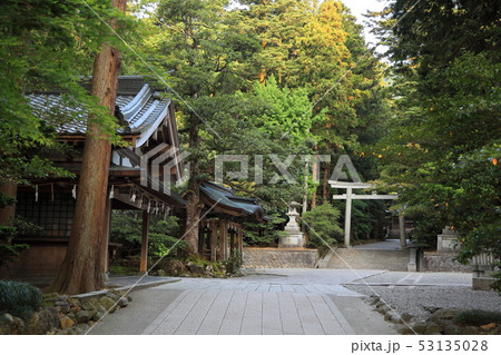 弥彦神社 53135028