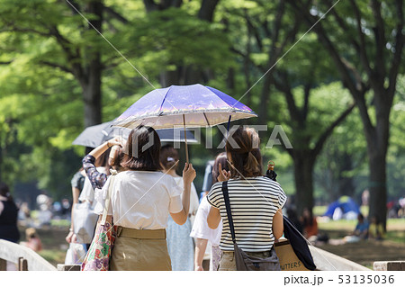 日傘をさす女性の後ろ姿 53135036