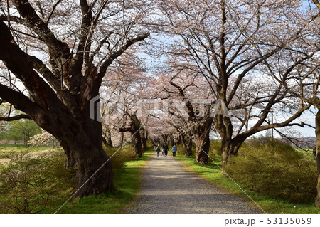 北上展勝地 北上展勝地 53135059