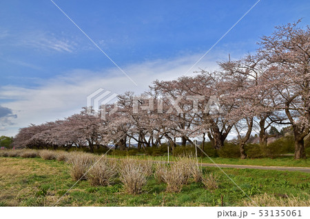 北上展勝地 53135061