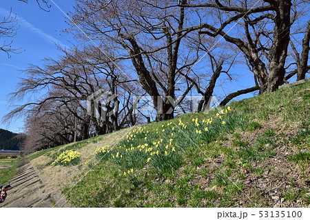 角館武家屋敷 53135100