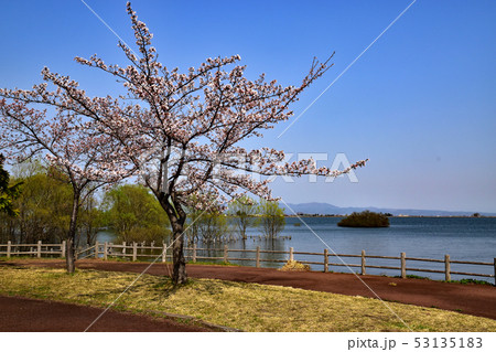 鶴の舞橋 53135183