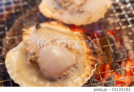 ホタテ_炭火焼き(炭焼き・網焼き・七輪・一人・宅飲み・バーベキュー・BBQ・焼肉・牛肉 ホタテ_炭火焼き(炭焼き・網焼き・七輪・一人・宅飲み・バーベキュー・BBQ・焼肉・牛肉 53135192