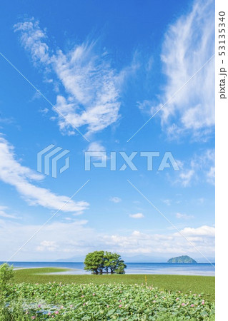 夏イメージ 夏イメージ 53135340
