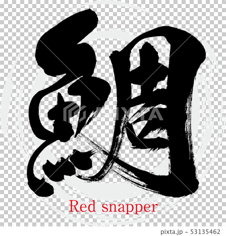 鯛・red snapper（筆文字・手書き） 53135462