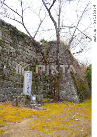 新宮城 続100名城【南紀熊野ジオパーク】 新宮城 続100名城【南紀熊野ジオパーク】 53135854