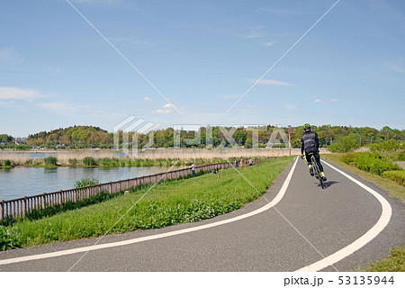 千葉県、手賀沼自然ふれあい緑道 千葉県、手賀沼自然ふれあい緑道 53135944